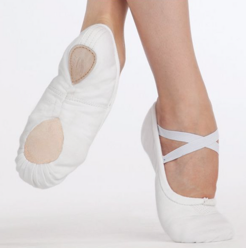 Canvas Ballet Shoes